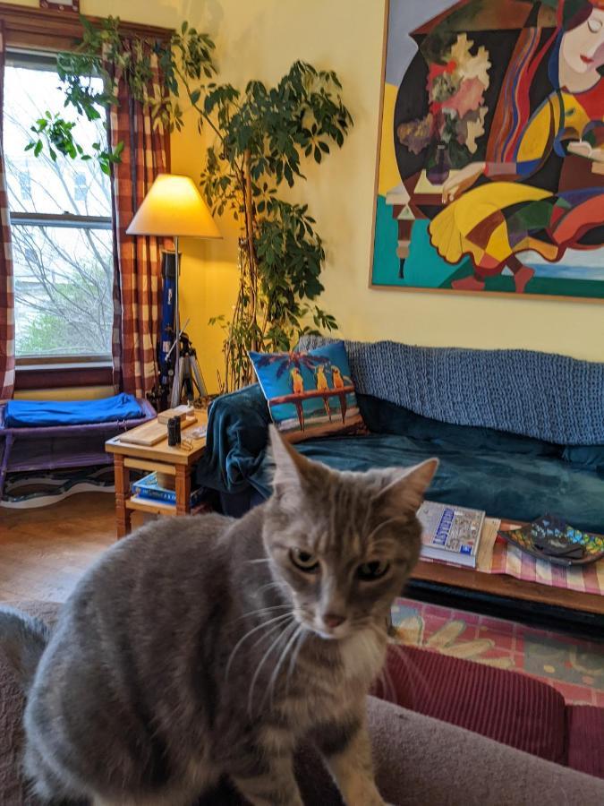 Bed and Breakfast The One Cat Братлборо Экстерьер фото